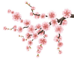 Similar image 13017954