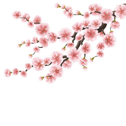 Similar image 13017974