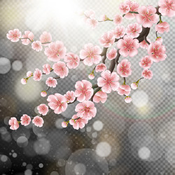 Similar image 13017976