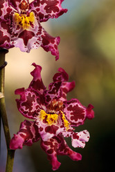 Similar image 13051254