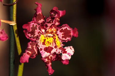 Similar image 13051606