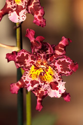 Similar image 13051608