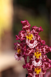 Similar image 13051364