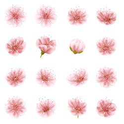 Similar image 13018011