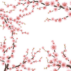 Similar image 13017486