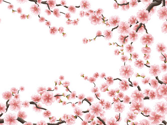 Similar image 13017587