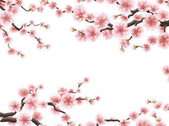 Similar image 13017688