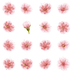 Similar image 13016818