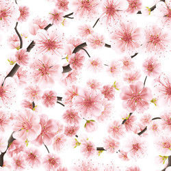 Similar image 13016881