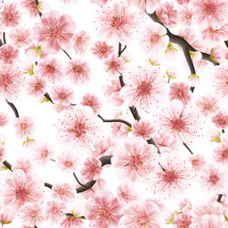 Similar image 13016956