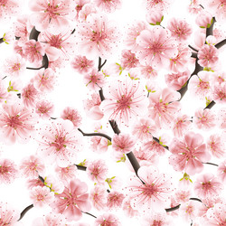 Similar image 13016820