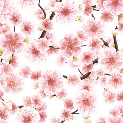 Similar image 13016936