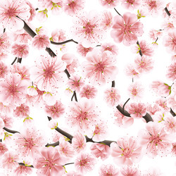 Similar image 13017064