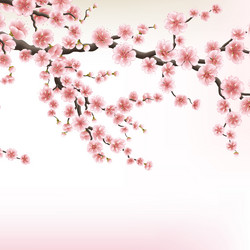 Similar image 13018212