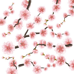 Similar image 13016958