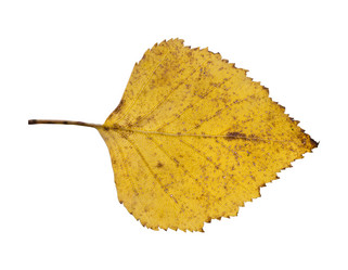 Similar image 13048090