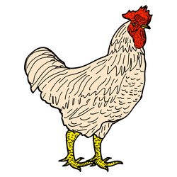 Similar image 13048036