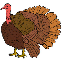 Similar image 13048098