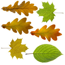 Similar image 13048118