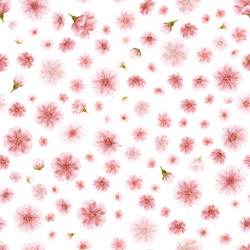 Similar image 13017455