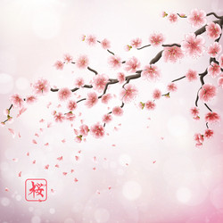 Similar image 13018538