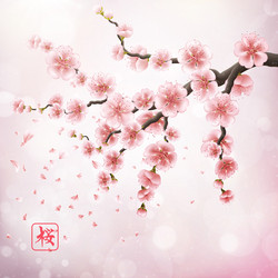 Similar image 13018513