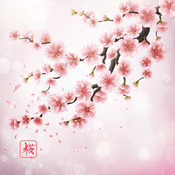 Similar image 13016762