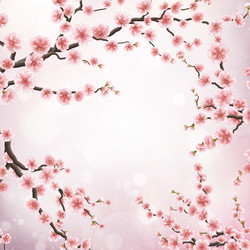 Similar image 13016763