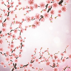 Similar image 13017170