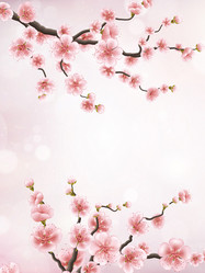 Similar image 13017192