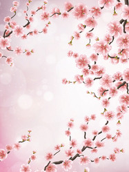 Similar image 13017256