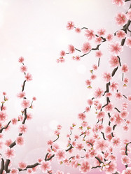 Similar image 13017257