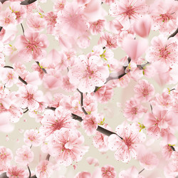 Similar image 13017242