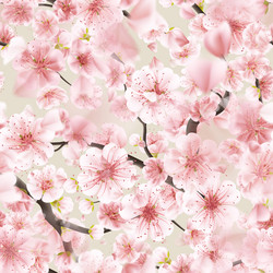 Similar image 13017296