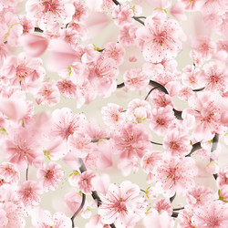 Similar image 13017318