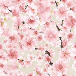 Similar image 13017357