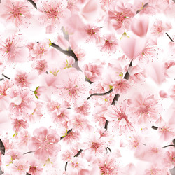 Similar image 13017418