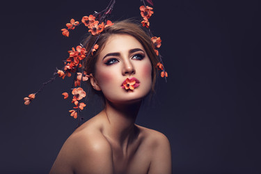 Similar image 13036651