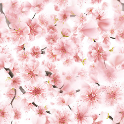 Similar image 13018234