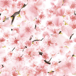 Similar image 13018348