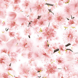 Similar image 13018350