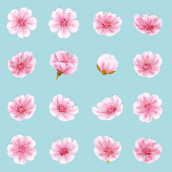 Similar image 13018512