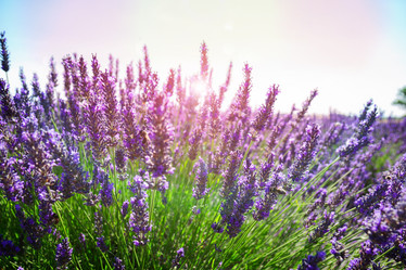 Similar image 13023492