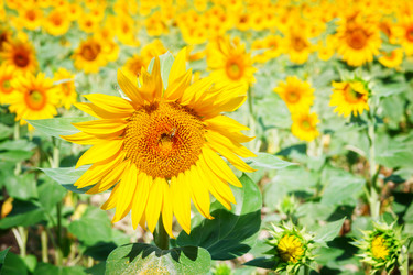 Similar image 13038658