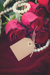 Similar image 13023434