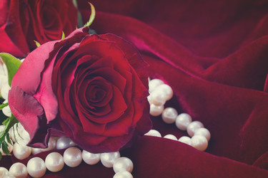 Similar image 13023473