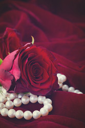 Similar image 13023474