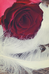 Similar image 13038773