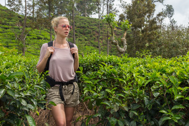 Similar image 13037784