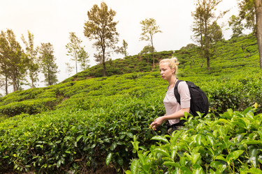 Similar image 13046460